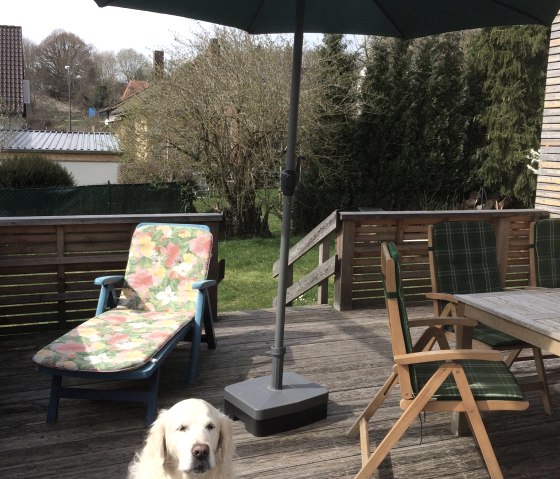 Terrasse mit Hund, © Burkhard Bujotzek