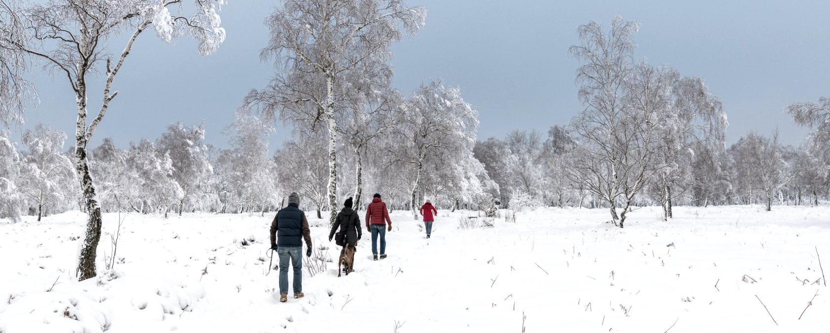 winterwandern Struffelt, © Eifel Tourismus GmbH, Dominik Ketz