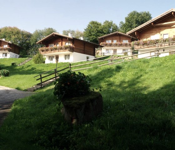 Teilansicht Blockhaus-Ferienpark