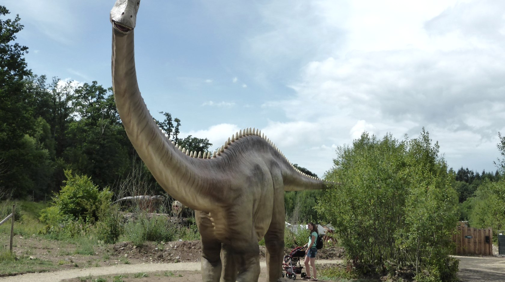 Dinosaurierpark Teufelsschlucht - Diplodocus, © Dinosaurierpark Teufelsschlucht