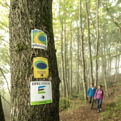 Gerolstein Eifelsteig, © Eifel Tourismus GmbH, Dominik Ketz