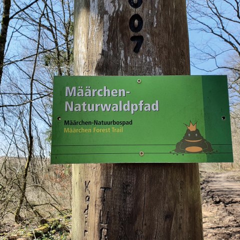 Sentier de la forêt naturelle de Mäarchen, © GesundLand Vulkaneifel