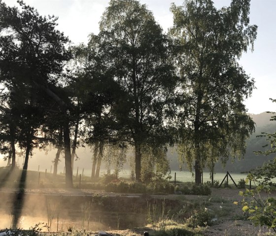 Blick aus dem Garten nach Osten