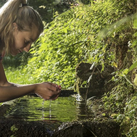 Maischquelle Wasser, © Natur- und Geopark Vulkaneifel/K.-P. Kappest