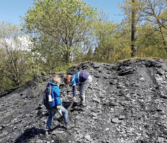 Erkunden der Schieferhalde, © Foto: Svenja Schulze-Entrup, Quelle: Touristik-Büro Vordereifel