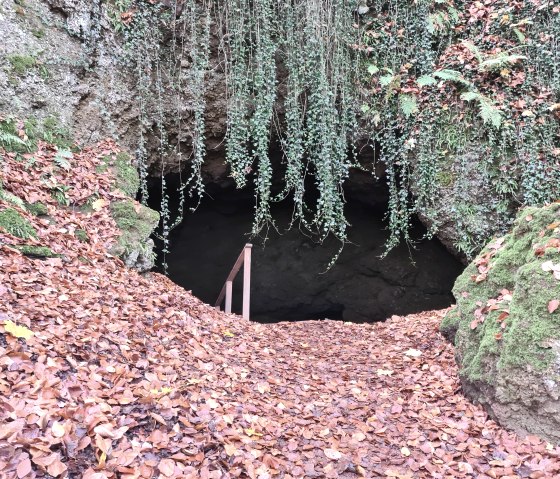 Op het spoor van vleermuizen, © Natur- und Geopark, M. Müller