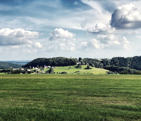 Segelflugplatz Utscheid, © Felsenland Südeifel Tourismus GmbH / Anna Carina Krebs