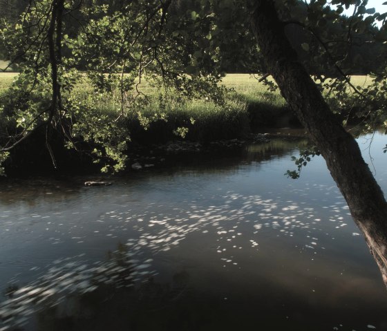 die Our - Sonne und Schatten, © ZV Naturpark Südeifel, Raymond Clement