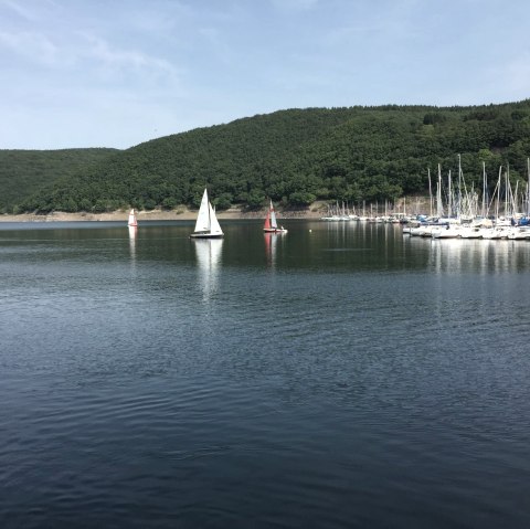 Am Rursee, © Eifel Tourismus GmbH