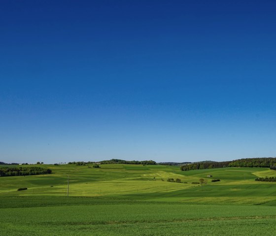 Blick über grüne Felder bei Herresbach, © Laura Rinneburger