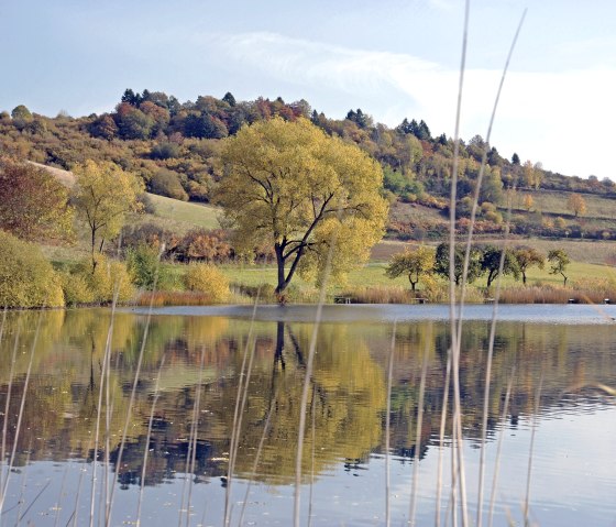 Herbst Schalkenmehrener Maar