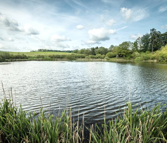 Eichholzmaar (2), © Eifel Tourismus GmbH, Dominik Ketz