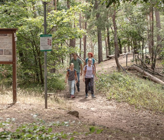 Wandern auf dem Rundweg Effels, © Eifel Tourismus GmbH, Tobias Vollmer