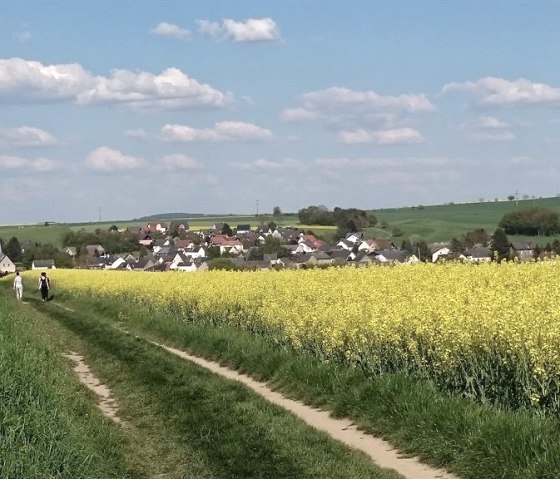 Blick auf Wierschem  Traumpf. Eltzer Burgpanorama