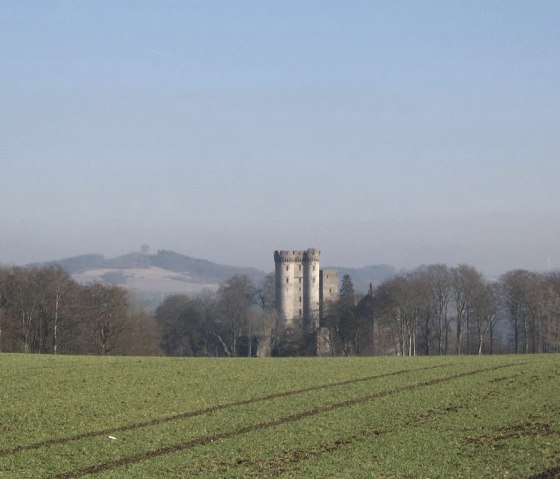 Kasselburg Pelm, © Gertrud Wieser