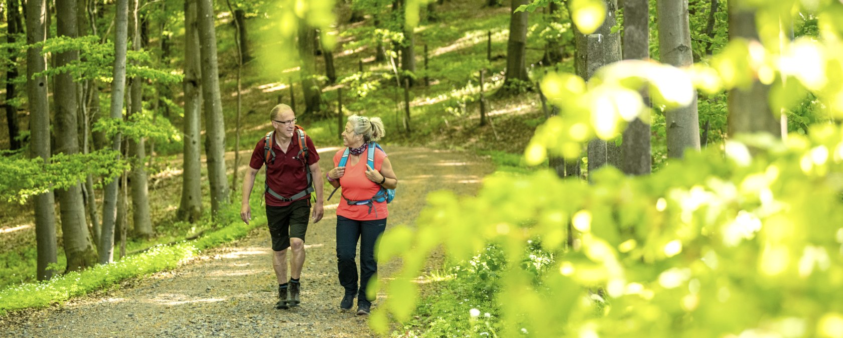 Wanderer in der Hocheifel, © Eifel Tourismus ET , Dominik Ketz