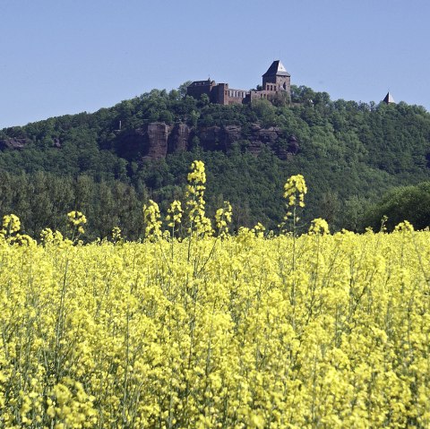 burg-nideggen