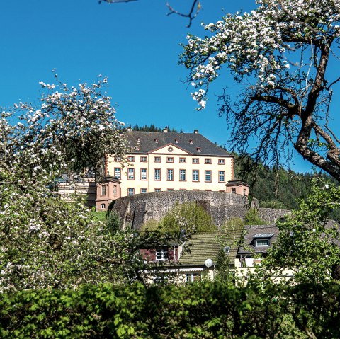 Schloss Malberg, © TI Bitburger Land