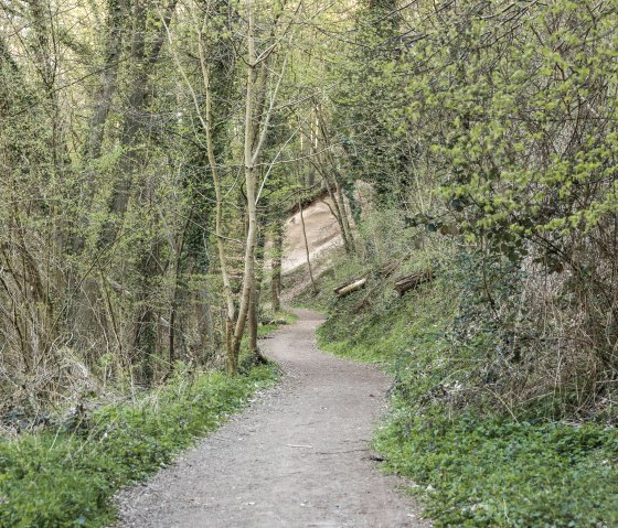 Weg zum Aschestrom, © Baumann Fotografie