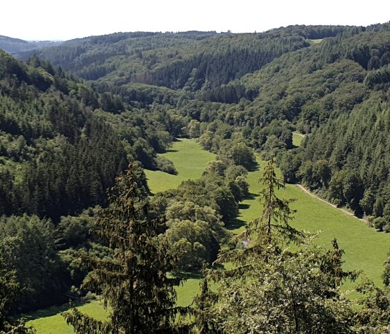 Blick ins Liesertal, Tellerley, © Martin Schenk