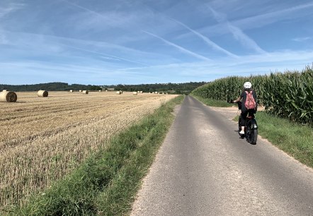 Radfahrer auf dem Eifel-Pilger-Radweg, © Tourist-Information-Wittlich-Stadt-Land