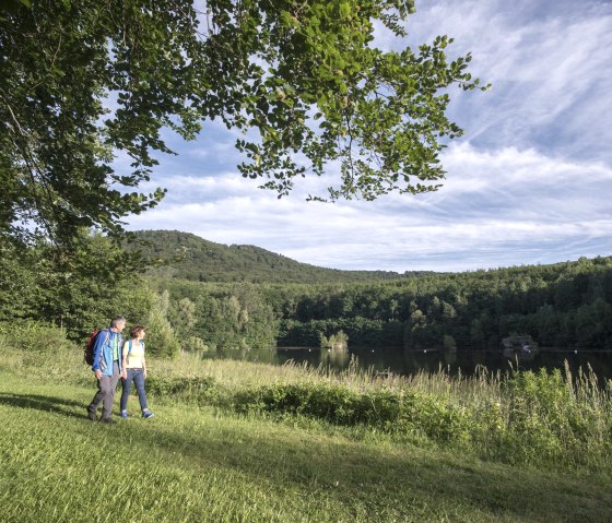 Waldsee Rieden, © Vulkanregion