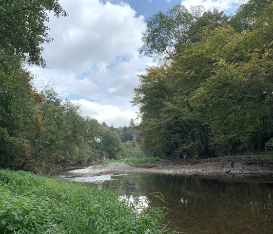 Sentier de la Lieser en direction de Wittlich