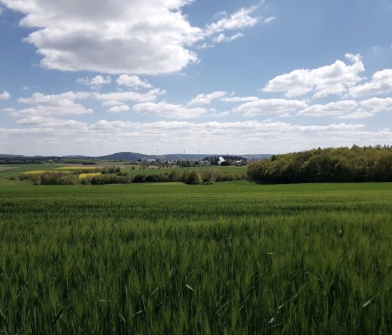 Blick auf Nachtsheim, © Foto: Svenja Schulze-Entrup, Quelle: Touristik-Büro Vordereifel