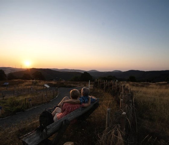 Heidegarten Langscheid bei Sonnenaufgang, © Foto: Laura Rinneburger, Quelle: Touristik-Büro Vordereifel