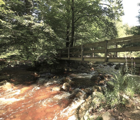 Holzsteg über den schäumenden Getzbach (zwischen Haus Ternell und Brackvenn), © Michael Sänger