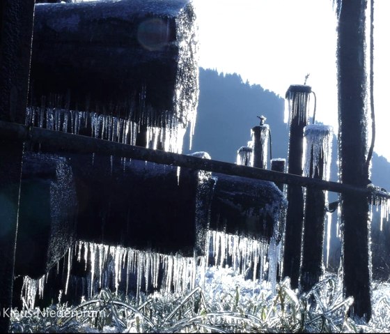 Winterlandschaft bei Schalkenmehren, © Klaus Niederprüm - klaus.niederpruem@online.de