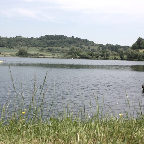 Vogelkundliche Wanderung am Schalkenmehrener Maar, © GesundLand Vulkaneifel GmbH