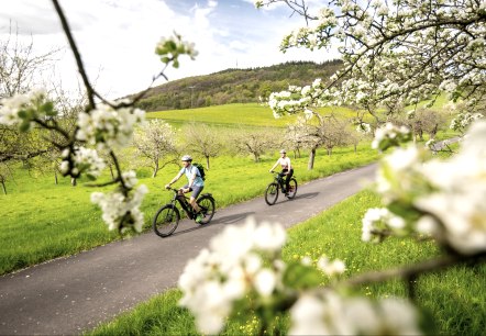 Radtour im Eifel-Frühling, © Eifel Tourismus GmbH, Dominik Ketz