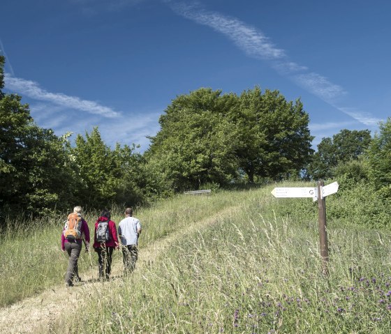 am Wanderweg, © GesundLand Vulkaneifel GmbH/ Kappest