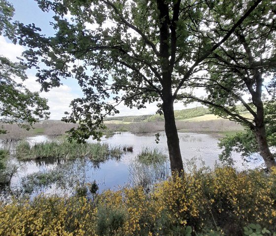 Naturschutzgebiet Mürmes