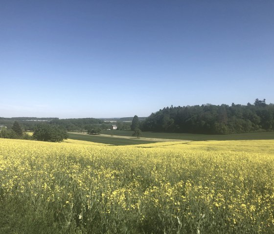 Bitburger Feld und Flur-Tour, © Tourist-Information Bitburger Land