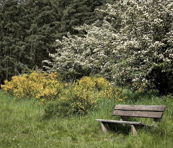 Umgebung im Frühjahr