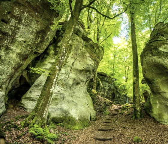 Wolfsschlucht am Felsenweg 3, © Eifel Tourismus GmbH, D. Ketz