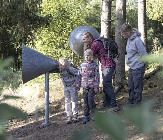 Lausch mal in den Eifelwald hinein, © Eifel Tourismus GmbH, Tobias Vollmer - finanziert durch REACT-EU