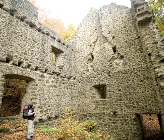 Eifelsteig, am Nerotherkopf, © Rheinland-PfalzTourismus GmbH - Dominik Ketz