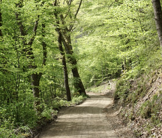 Im Grünental, © Monschau Touristik
