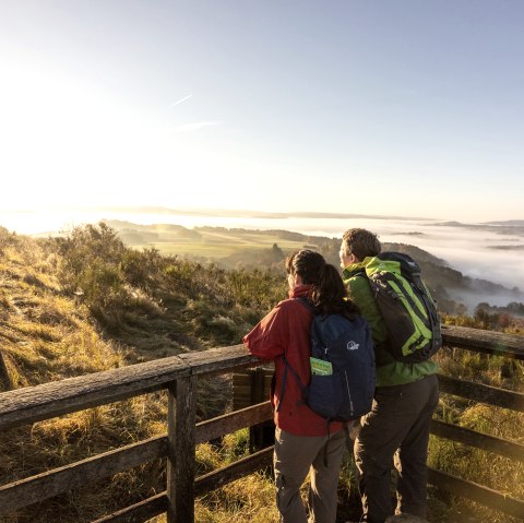 Ausblick vom Rother Kopf, © Eifel Tourismus, Dominik Ketz