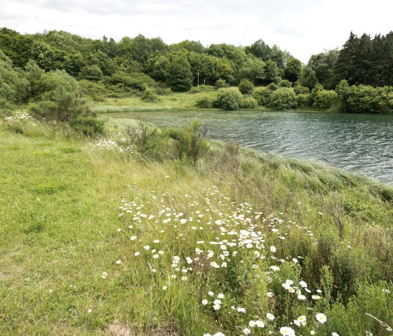 AhrSteig Seeufer Freilinger See, © Ahrtaltourismus e.V.