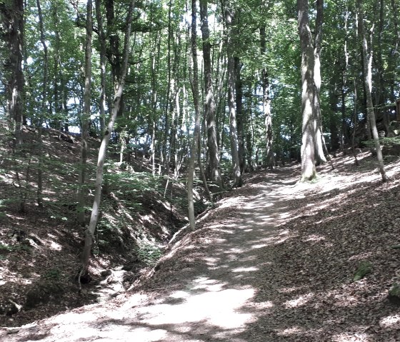 Delux Wanderweg 3