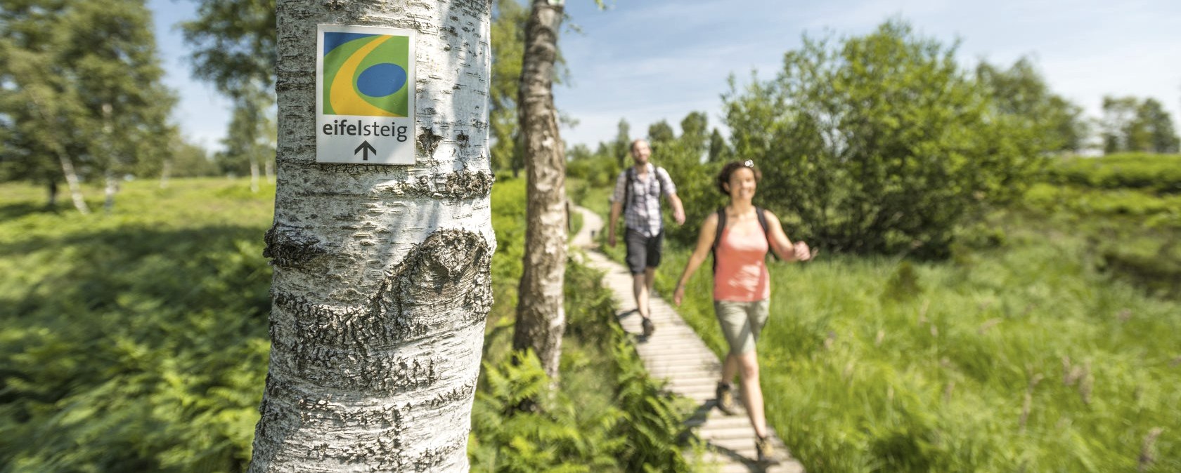 Wanderweg Eifelsteig: Auf der Wandertour durch die Eifel geht es auch auf Stegen durch die Struffelt Heide., © Eifel Tourismus GmbH - D. Ketz