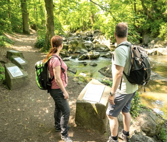 Infotafel im Rauscherpark, © Eifel Tourismus GmbH/Dominik Ketz