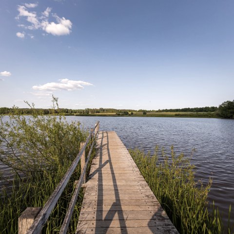 Passerelle à l'étang de la Vierge