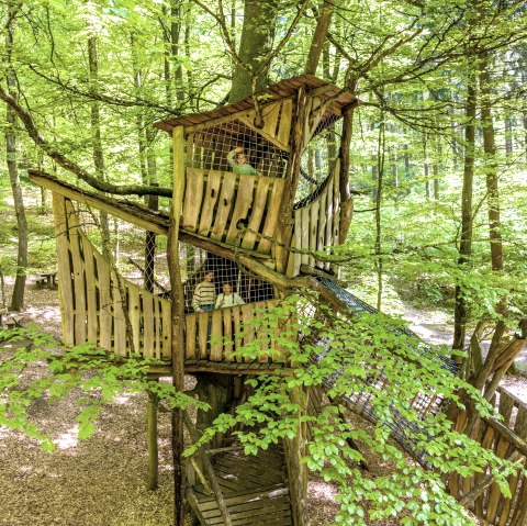 Baumhaus Holzberg, © Eifel Tourismus GmbH, Dominik Ketz