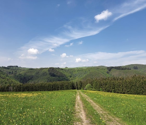 Wandern direkt ab der Haustür, © Pannhausen