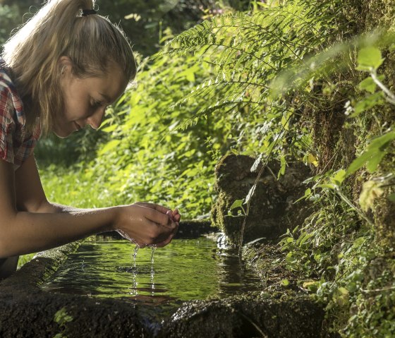 Maischquelle Wasser, © Natur- und Geopark Vulkaneifel/K.-P. Kappest